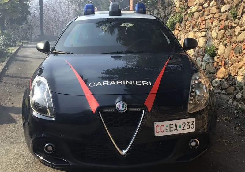 E' SUCCESSO IN CANAVESE - I video più visti del 2025 su Youtube, Instagram e TikTok