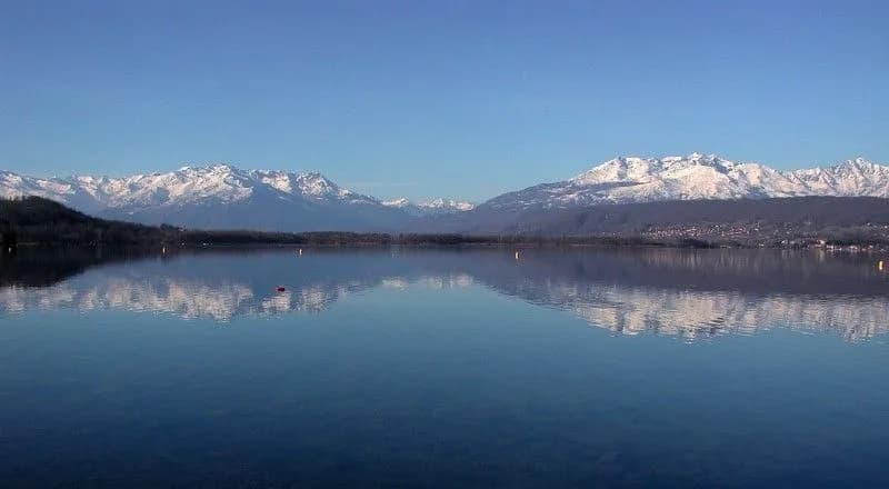 AZEGLIO - Tornano i pescatori di frodo, in pericolo le grandi carpe del lago di Viverone