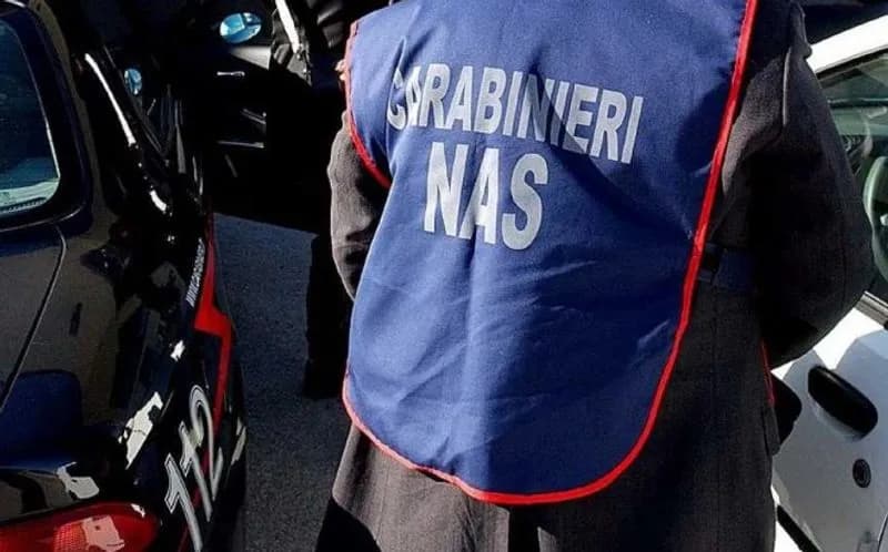 BANCHETTE - Chiusa la scuola alternativa dopo il blitz dei carabinieri del Nas