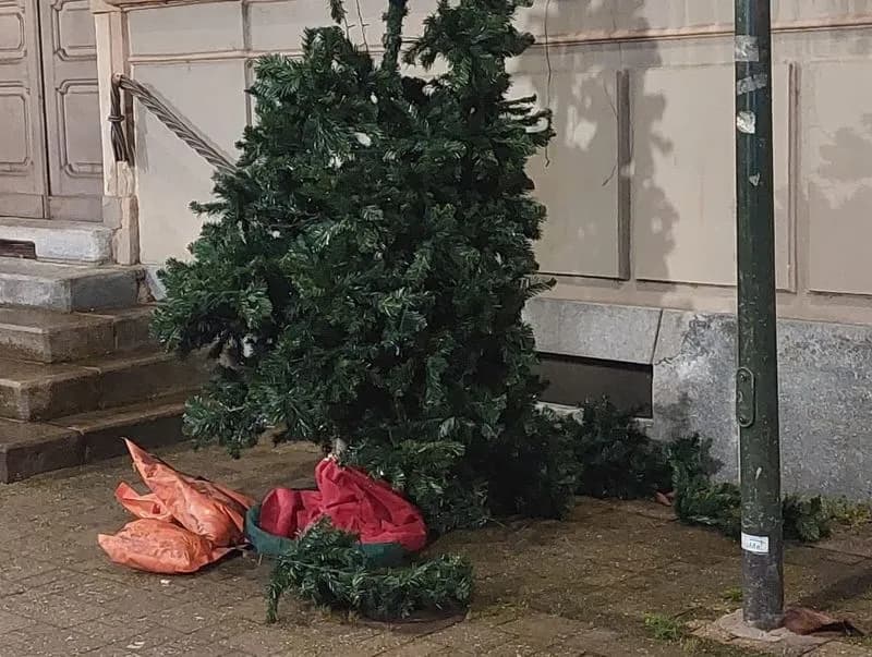 BRANDIZZO - Vigilia di Natale amara: vandalizzato l'albero vicino al Comune