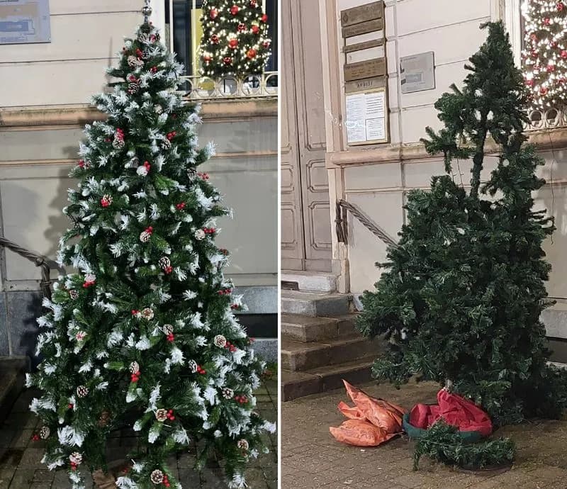 BRANDIZZO - Individuati i vandali dell'albero di Natale davanti al Municipio: si pentono, pagano i danni e lo risistemano
