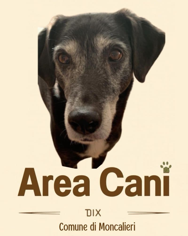 CALUSO - La nuova area cani di Moncalieri potrebbe essere intitolata a Dix: ecco la sua storia