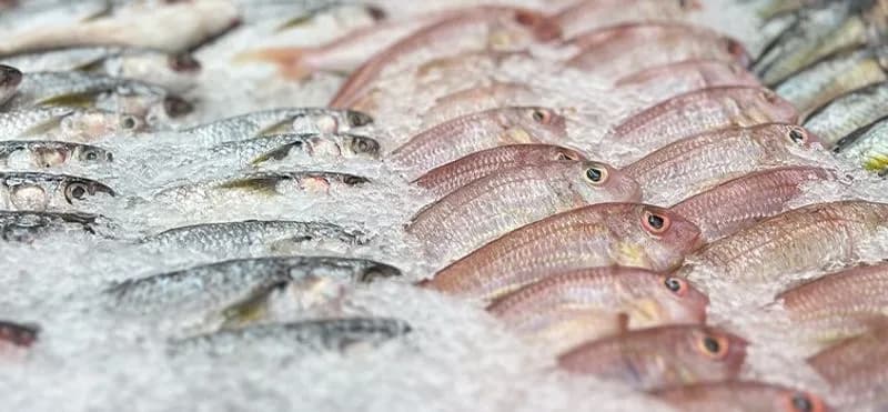 TORINO E PROVINCIA - Sequestrati nove milioni di euro al grossista del pesce che riforniva ristoranti cinesi e giapponesi