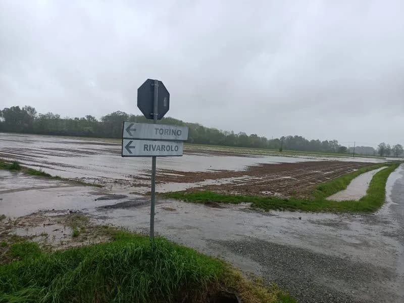 MALTEMPO IN CANAVESE - Disastro per l'agricoltura: danni per 2 milioni di euro - FOTO
