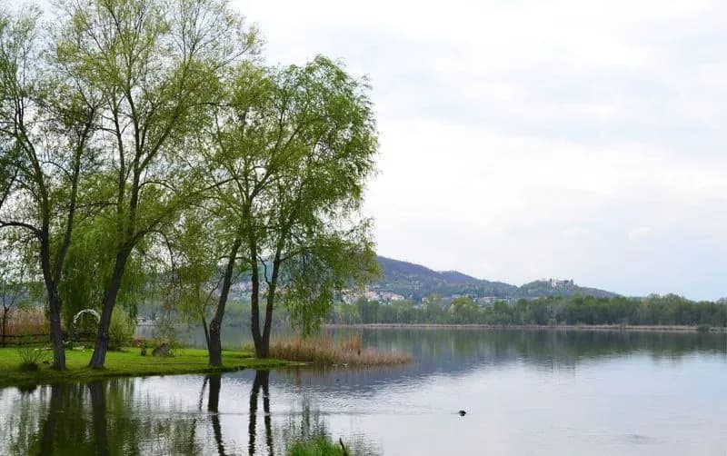 CANDIA-CHIAVERANO - Laghi promossi: quattro vele da Legambiente