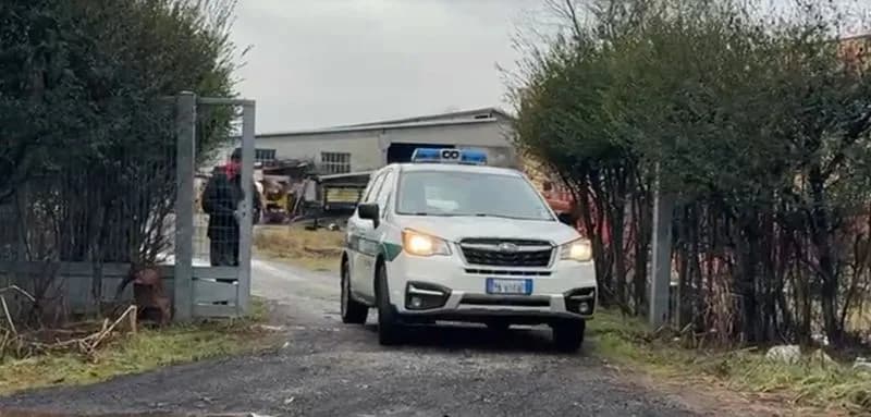 CASELLE - Numerose capre morte nella cascina dove viveva la 65enne uccisa dal figlio