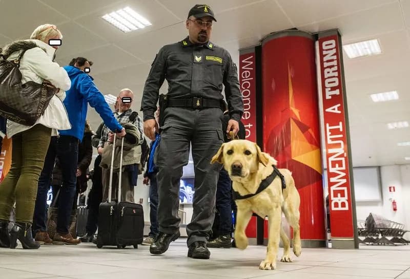 CASELLE - Passeggera con sedici chili di cocaina in valigia arrestata in aeroporto - FOTO e VIDEO