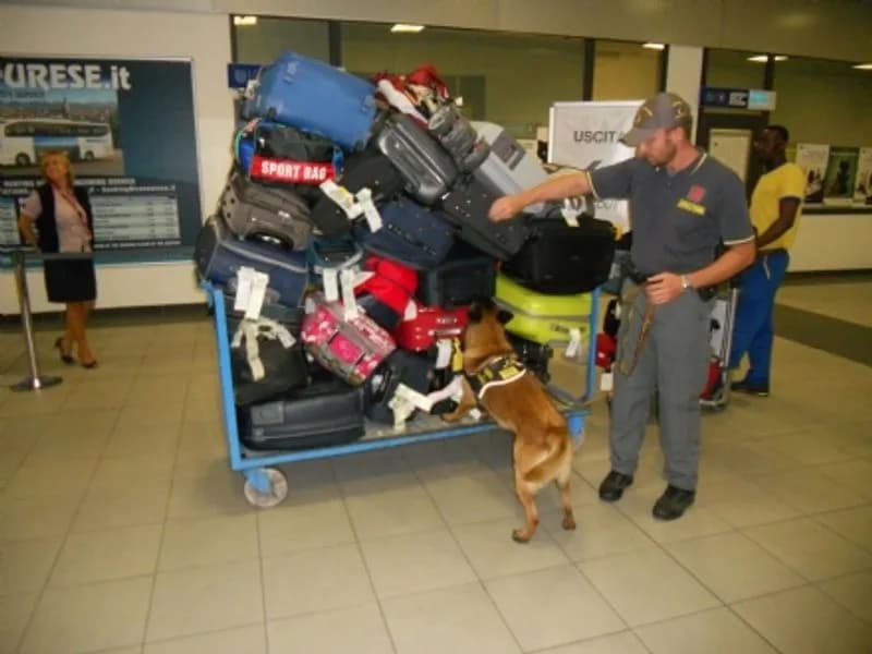 CASELLE - Farmaci per schiarire la pelle sequestrati in aeroporto