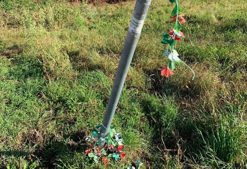 CASELLE - Vandali senza vergogna: strappano i fiori di un 16enne morto in un incidente e vandalizzano un cartello stradale