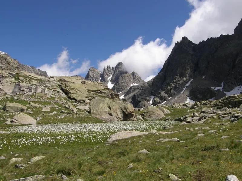 CERESOLE REALE - Maxi finanziamento da 1,6 milioni di euro per il Parco nazionale Gran Paradiso