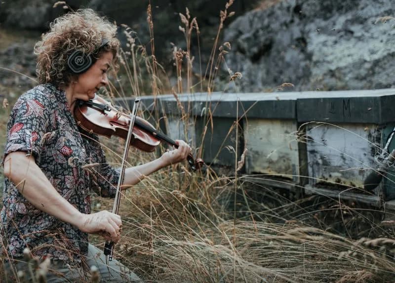 CERESOLE REALE - Tobees, concerto in apiario e il film «Il sogno basterà?»