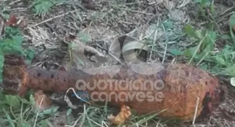 CHIVASSO - Trovato un ordigno bellico in una piazzola di sosta dell'autostrada: traffico rallentato in direzione Torino