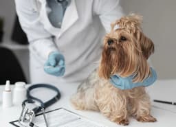 CHIVASSO - I servizi Asl To4 traslocano a palazzo Einaudi