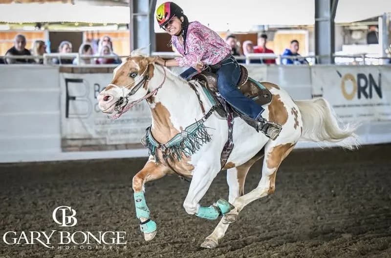 CICONIO - Nbha Piemonte, un successo la prima tappa del campionato al Ri.no Ranch