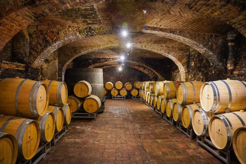 WINE - Un’alleanza strategica per il futuro della viticoltura piemontese