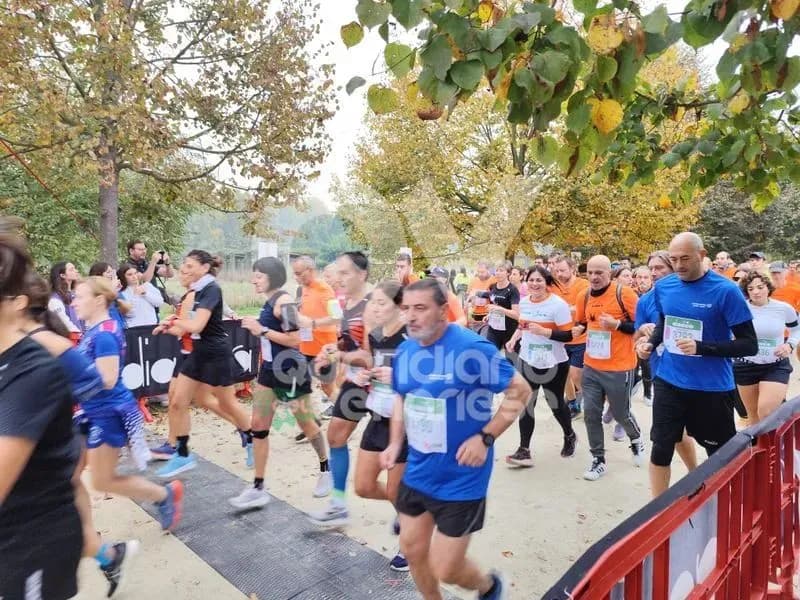 PODISMO - Sciame di calabroni attacca la corsa a Venaria, due canavesani punti dagli insetti