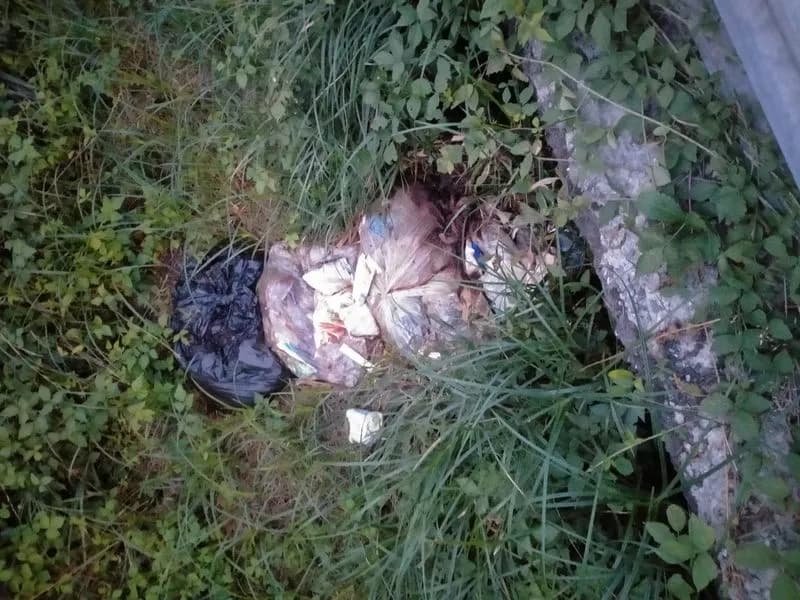 CUORGNE' - Sacchi della spazzatura abbandonati, odori nauseabondi in zona - FOTO