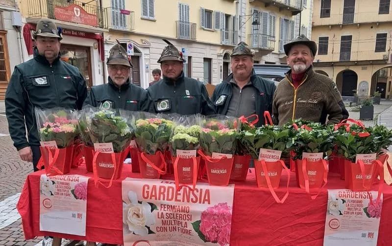 CUORGNE' - Gli Alpini in piazza per sostenere la ricerca sulla sclerosi multipla