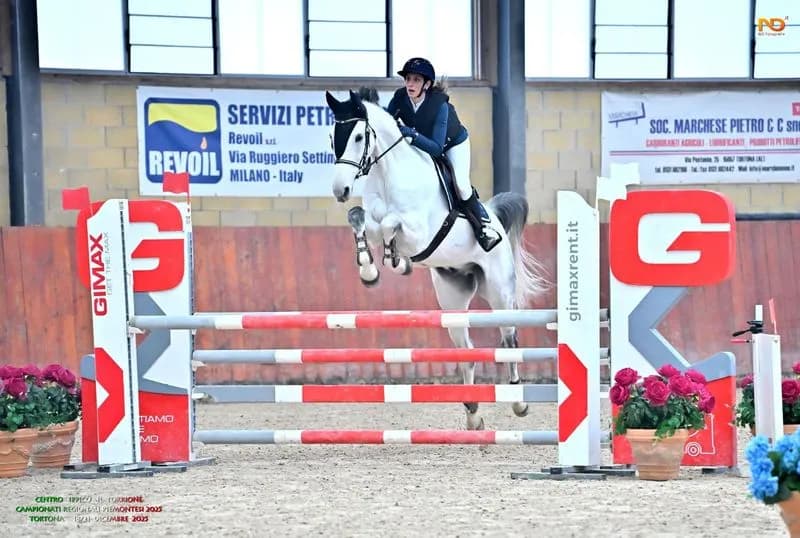 CUORGNE' - Equitazione, Cristina Zucco seconda ai campionati regionali di salto a ostacoli - FOTO