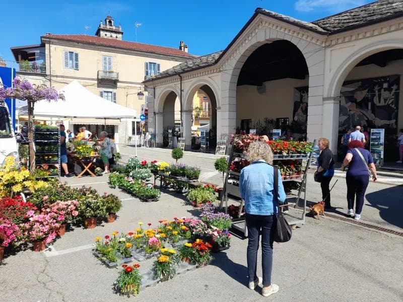 CUORGNE' - Fiori, natura, arte e creatività: arriva «E' primavera... a Cuorgnè» - FOTO