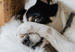 Il coraggio silenzioso dei timidi