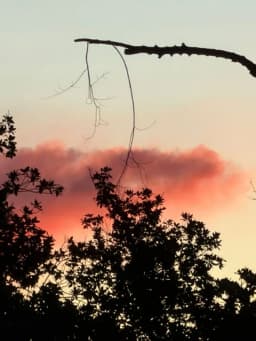 L'alba di febbraio: quando il cielo si accende piano