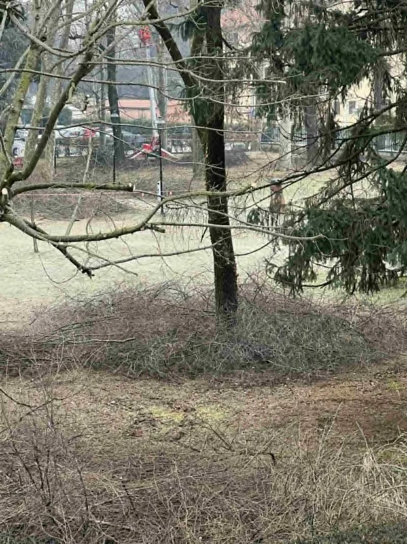 Fervet opus, parco Martinotti a Favria