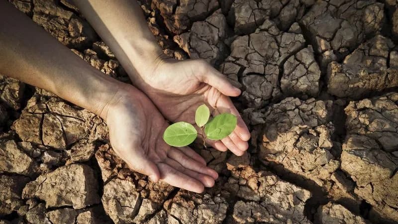 Quando la speranza si fa fragile