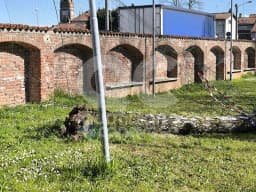 FELETTO - Crolla un albero all'improvviso, il Comune chiude il parco: «Necessaria la verifica di tutte le piante» - FOTO