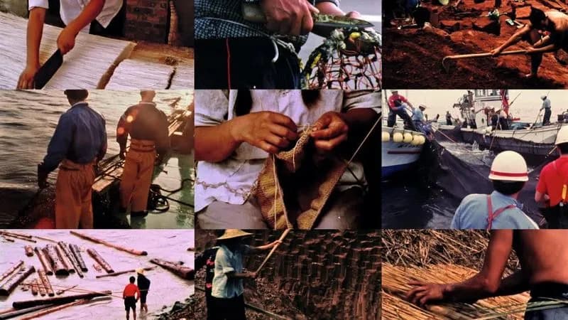 ARTE – Alla GAM di Torino musica e immagini di Phill Niblock