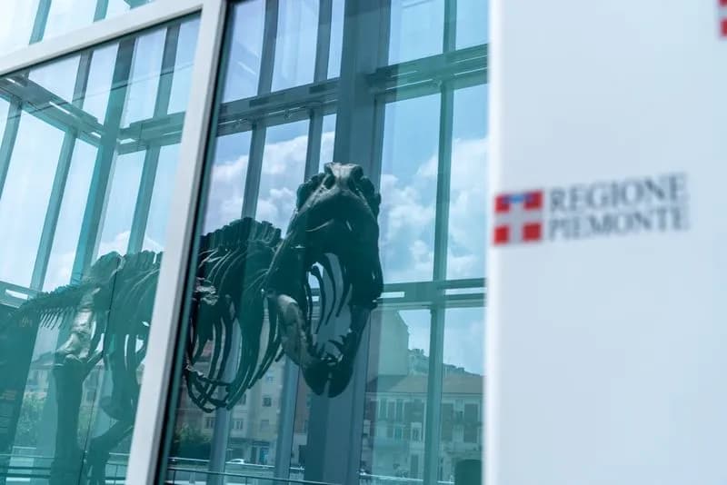 MOSTRE - Un dinosauro nel grattacielo della Regione Piemonte