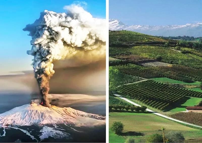 WINE - Barolo & Etna: l’alleanza dell’eccellenza italiana conquista Parigi