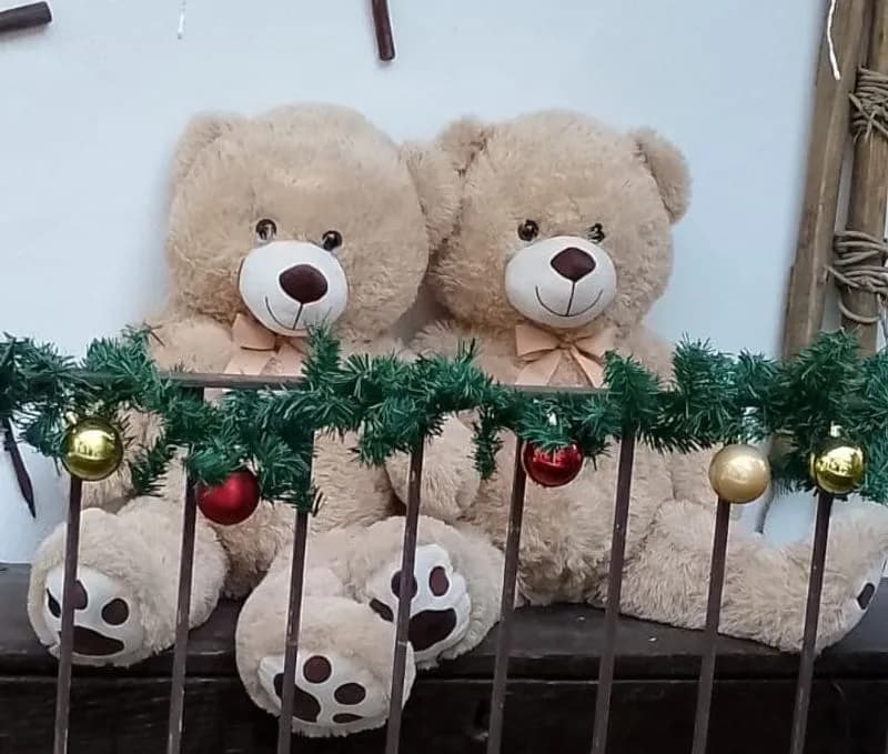 INGRIA - Concluso con successo il concorso «Caccia all’orso»