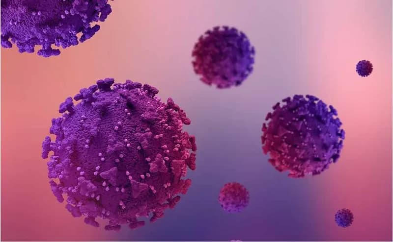 CANAVESE - Vaccino gratis contro il virus del papilloma: open day Asl To4 a Ivrea, Borgaro, Settimo e Castellamonte