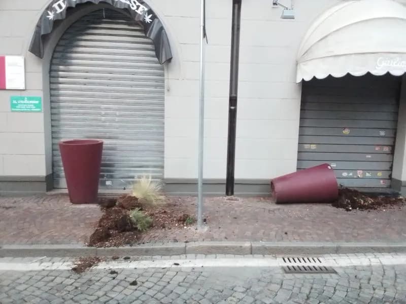 IVREA - Vandali in centro: rovesciate e rovinate le fioriere di corso Nigra - FOTO