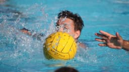 LEINI' - Gazzarra al termine della partita di pallanuoto: allenatore colpito con un pugno in faccia