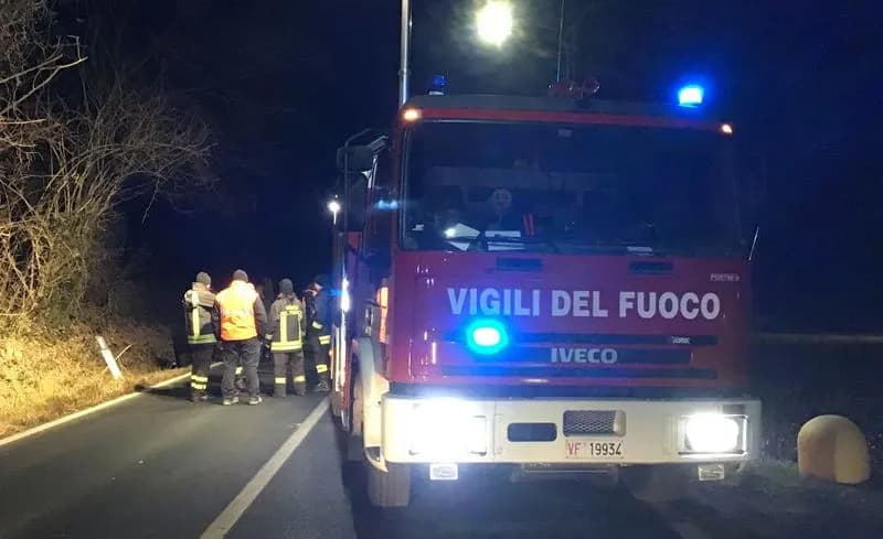 LEINI-LOMBARDORE - Temporale: piovono alberi sulla 460, doppio intervento dei vigili del fuoco