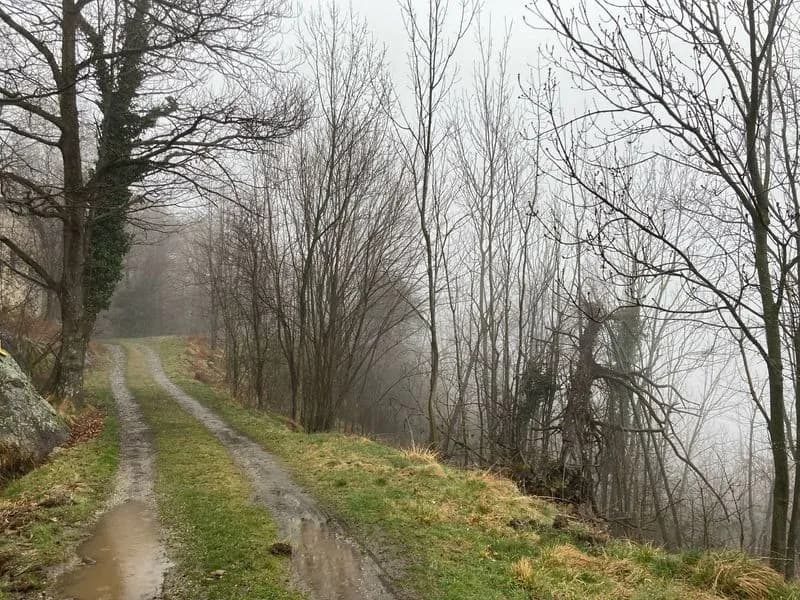 LOCANA - Borgata Trucca, il Comune risponde ai residenti: «L'asfaltatura della pista non è autorizzata»