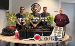 NOLE - Targhe clonate e una piantagione di marijuana in casa: beccati dalla polizia locale e denunciati