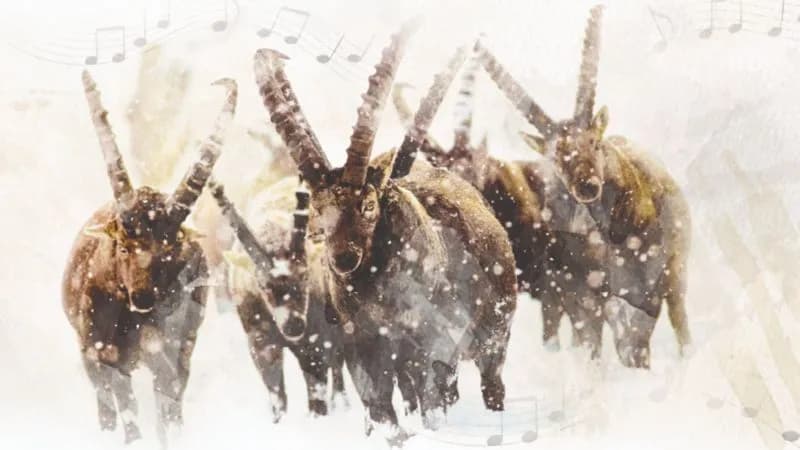 MONTAGNA - Note di neve, a Torino le voci del Gran Paradiso