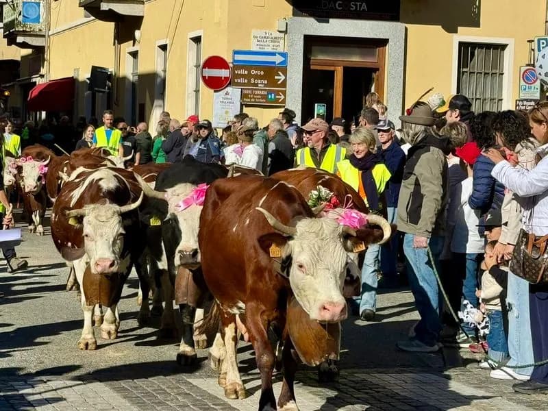 PONT CANAVESE - La transumanza è stata un successo - FOTO