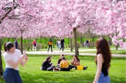 AMBIENTE – La Reggia di Venaria si veste di rosa