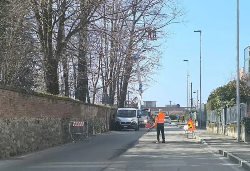 RIVAROLO CANAVESE - Alberi pericolosi: 32 da abbattere