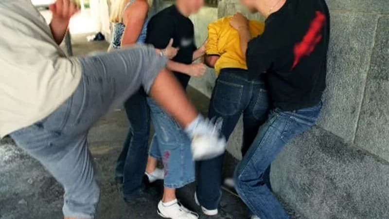 RIVAROLO CANAVESE - Due ragazzi 14enni aggrediti da un gruppo di minorenni: ecco cosa è successo nel parco del castello Malgrà