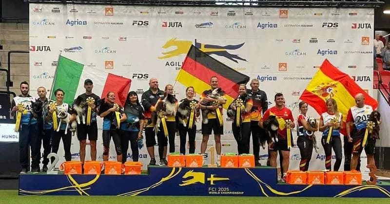 RIVAROLO CANAVESE - Giacomo Blessent e il suo cane Like conquistano il podio anche ai Mondiali di agility dog - FOTO