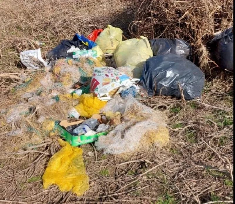 SAN CARLO CANAVESE - I boschi e prati della riserva della Vauda trasformati in discariche a cielo aperto - FOTO