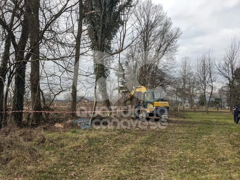 SAN FRANCESCO AL CAMPO - Incidente sul lavoro, è morto l'operaio travolto da un albero