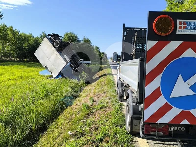 SAN GIUSTO CANAVESE - Ritrovati i due bovini scappati martedì mattina dopo un incidente stradale - FOTO e VIDEO