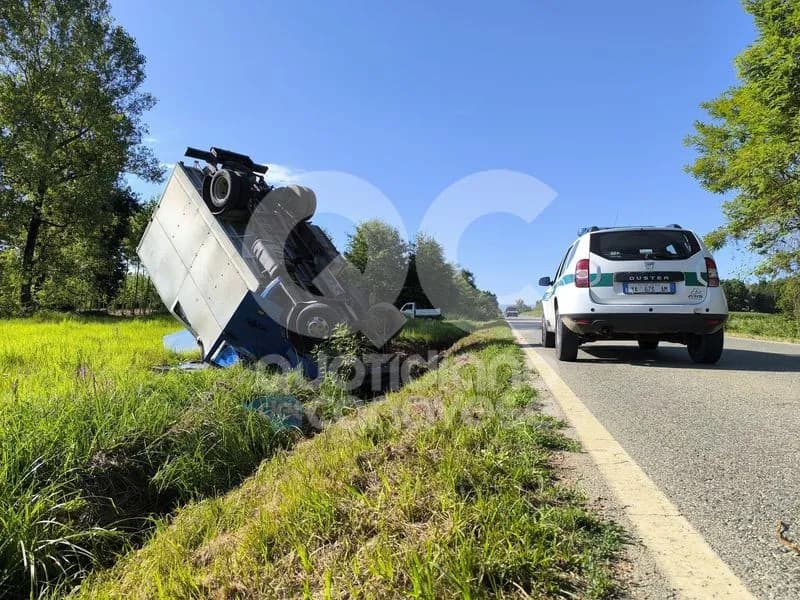 SAN GIUSTO CANAVESE - Camioncino si ribalta sulla provinciale, due bovini in fuga - FOTO e VIDEO