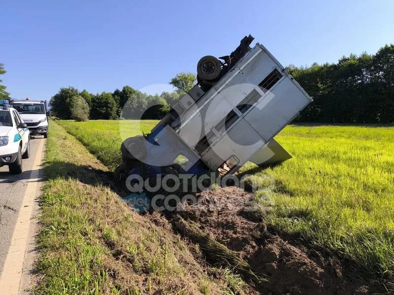 SAN GIUSTO CANAVESE - Due tori in fuga dopo l'incidente: per ora nessuna novità dalle ricerche - FOTO e VIDEO